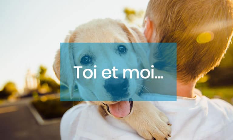 Comment les propriétaires considèrent leurs animaux de compagnie...