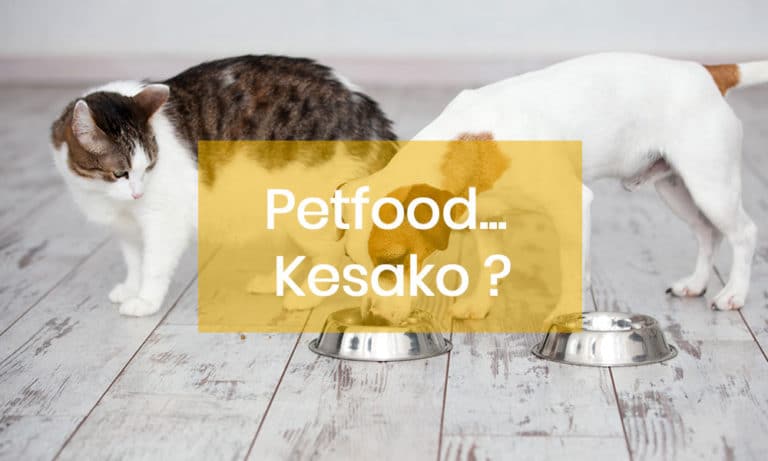 aliment équilibré le petfood... Késako ?