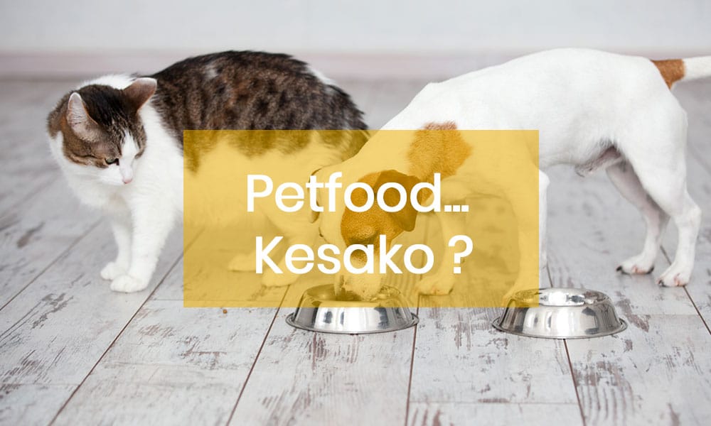 Le petfood... Késako ?