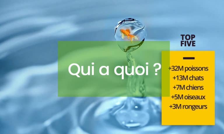 La possession animal... qui possède quoi et pourquoi ? Une étude FACCO-Kantar-TNS