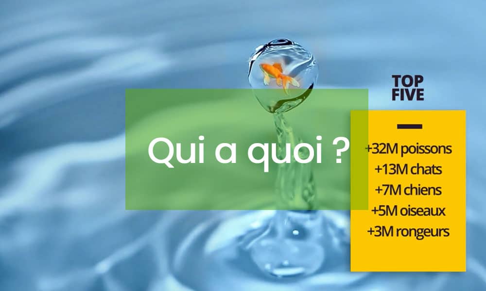 La possession animal... qui possède quoi et pourquoi ? Une étude FACCO-Kantar-TNS