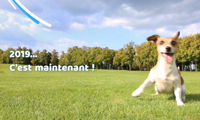 Bonne année 2019. La FACCO est la fédération des fabricants d’aliments pour chiens, chats, oiseaux et autres animaux familiers.