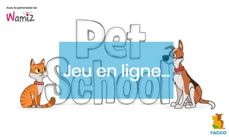 Le jeu Petschool by Purina