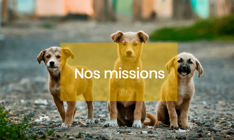 Fédération. Quelles sont les missions de la FACCO ?