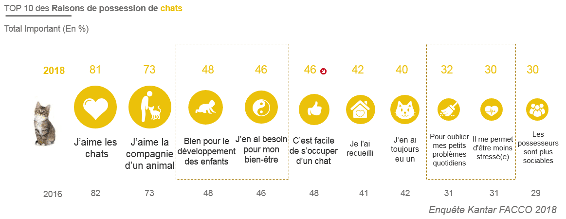 raisons-adoption-chat