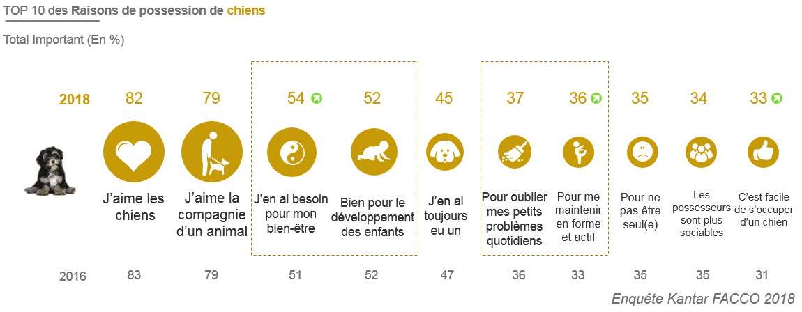 raisons-adoption-chien-FACCO