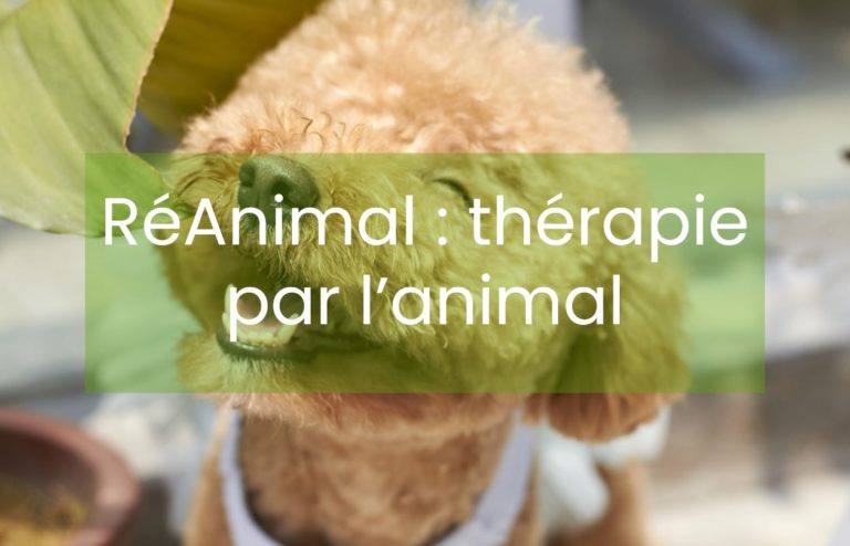 chien-therapieassistee-reanimal