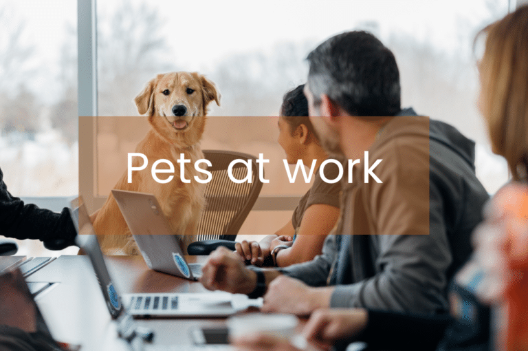 petsatwork-facco