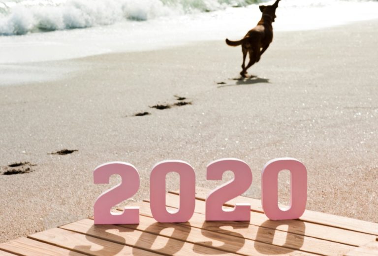 facco chien résolutions 2020