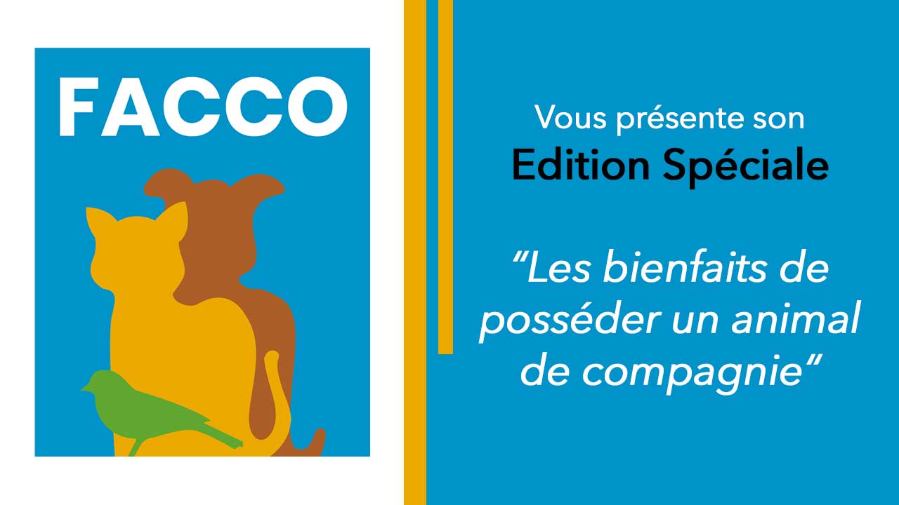 Les bienfaits de posséder un animal de compagnie par Valérie Dramard