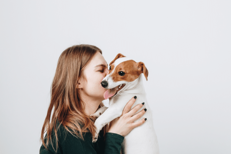 saint-valentin-chien