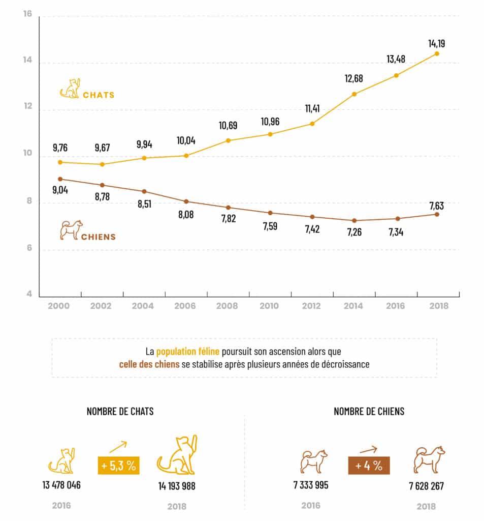 Les petits oiseaux  FACCO-INFOGRAHIES-042018_Evolution-population-canine-feline-953x1024