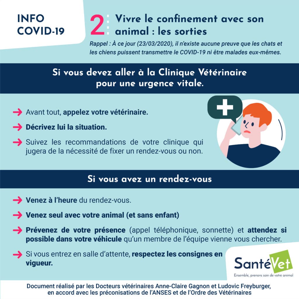 Vivre le confinement avec son animal - Aller chez son vétérinaire