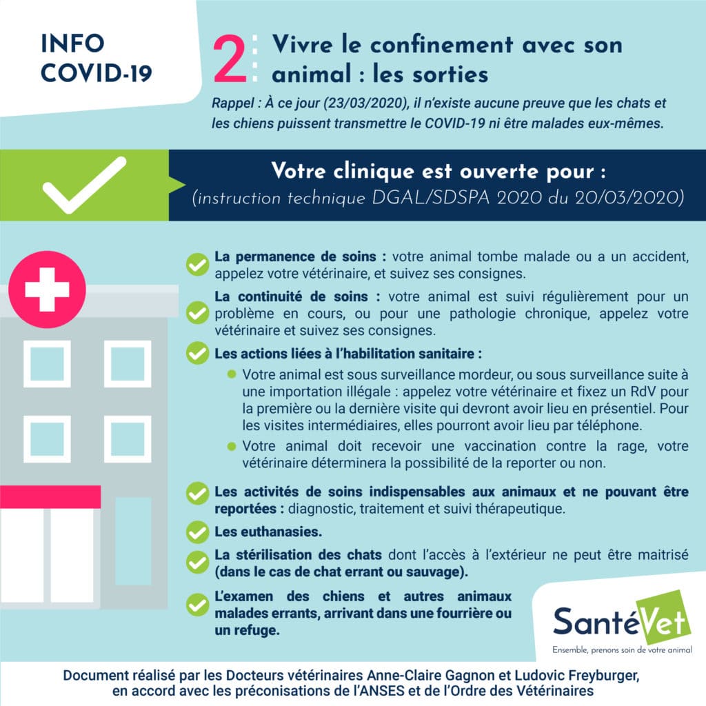 Vivre le confinement avec son animal - Aller chez son vétérinaire