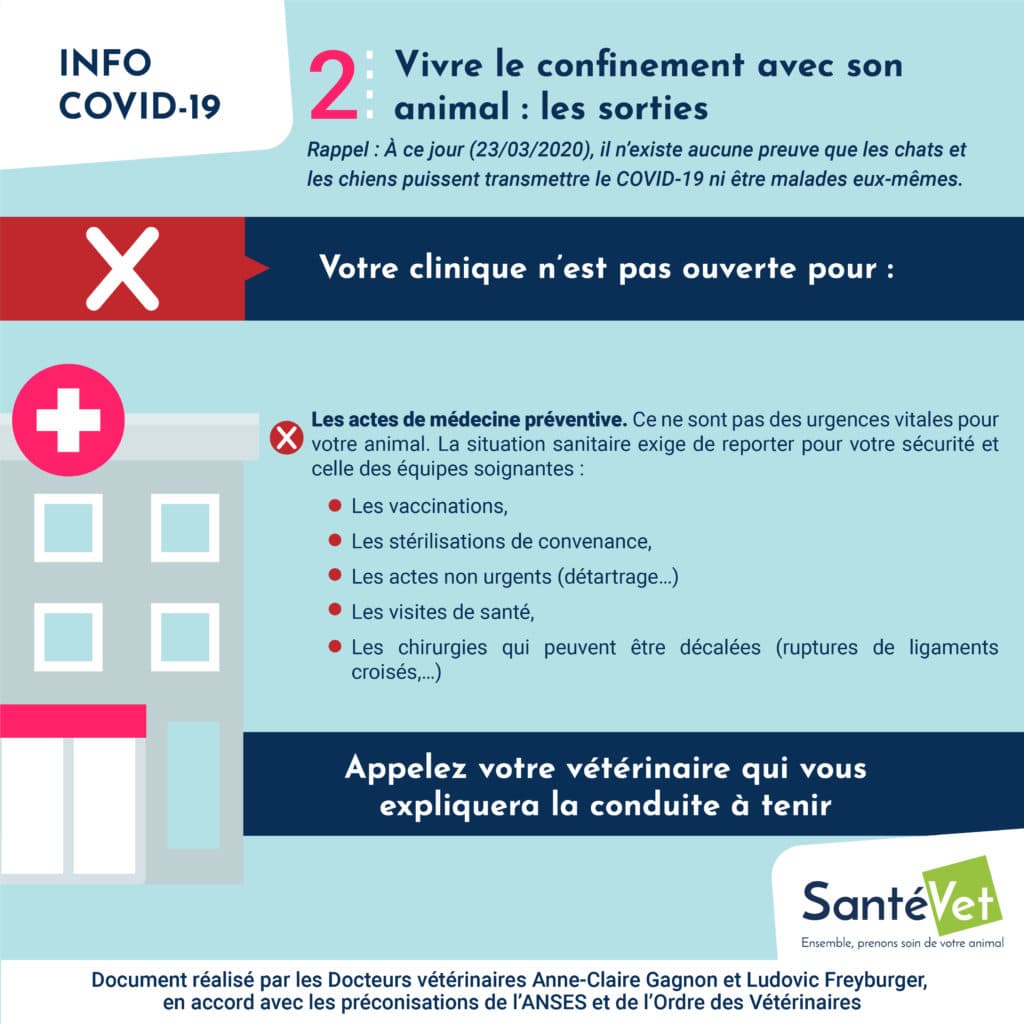 Vivre le confinement avec son animal - Aller chez son vétérinaire