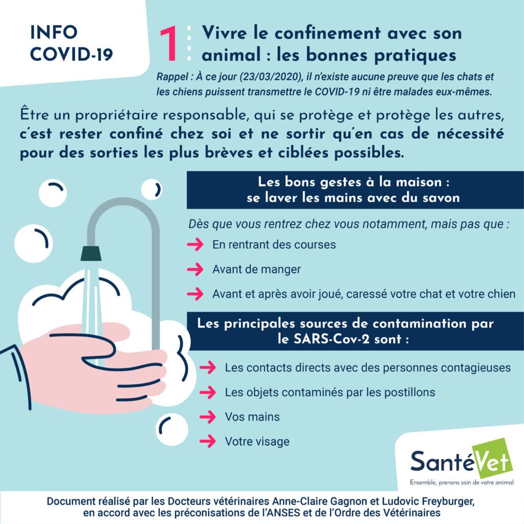 Vivre le confinement avec son animal - les bonnes pratiques