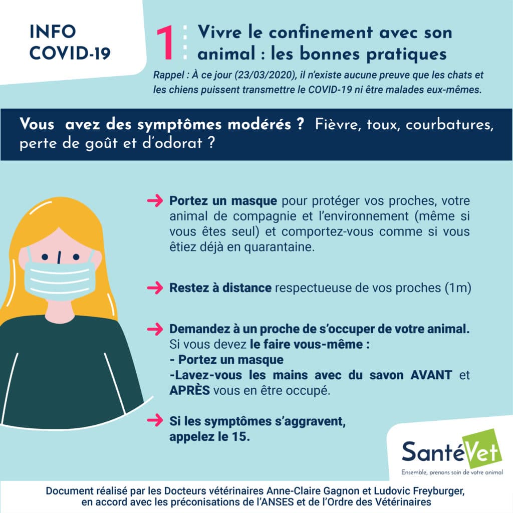 Vivre le confinement avec son animal - les bonnes pratiques