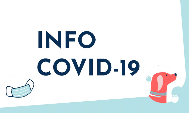 info-covid-19-confinement-animal