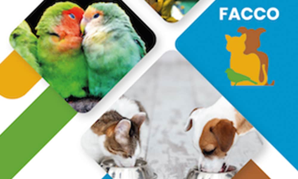 Rapport annuel 2020 de la FACCO
