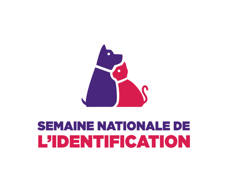 semaine_identification_i-cad_chiens_chats