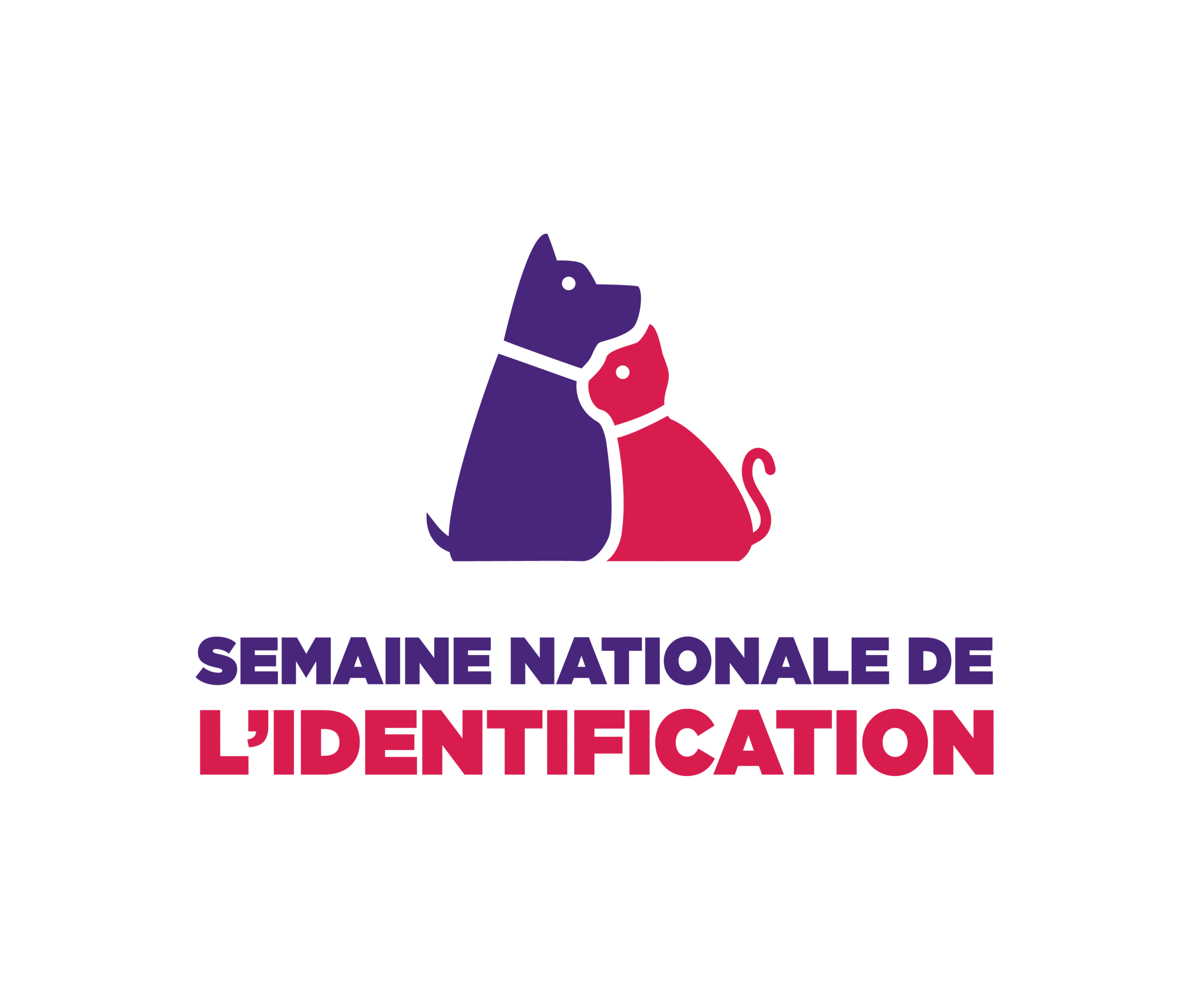 semaine_identification_i-cad_chiens_chats
