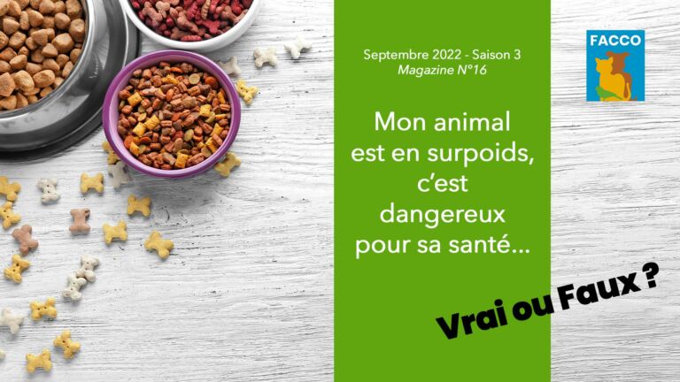 Mon animal est en surpoids, c’est dangereux pour sa santé… Vrai ou Faux ?