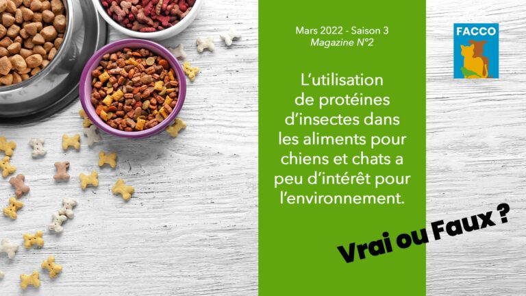 L'utilisation d’insectes dans les aliments pour chiens et chats a peu d’intérêt pour l’environnement