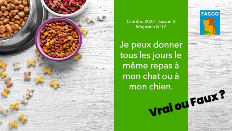 Je peux donner tous les jours le même repas à mon chien ou à mon chat. Vrai ou Faux ?