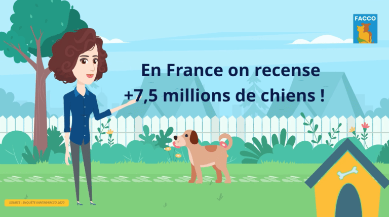 Qui possède un chien ?