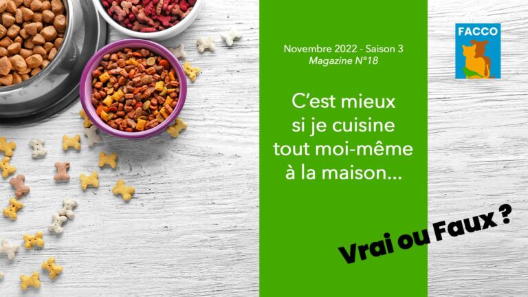 Les Vrais-faux du petfood ! C'est mieux si je cuisine tout moi-même à la maison ? Vrai ou Faux ?