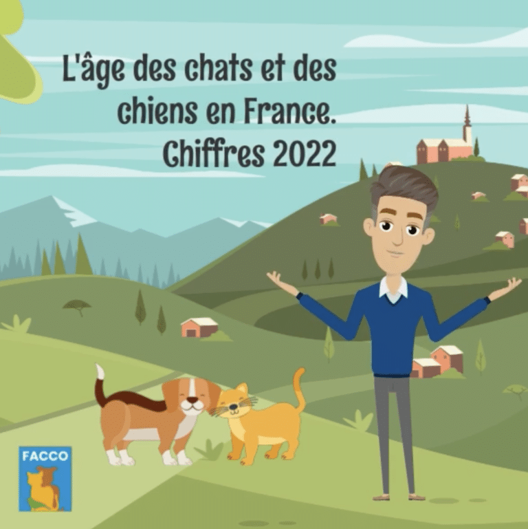 Connaissez-vous l'âge des chats et des chiens en France ?