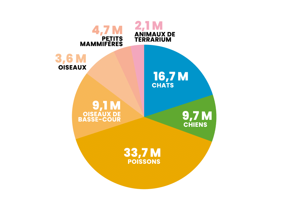 population animale 2025