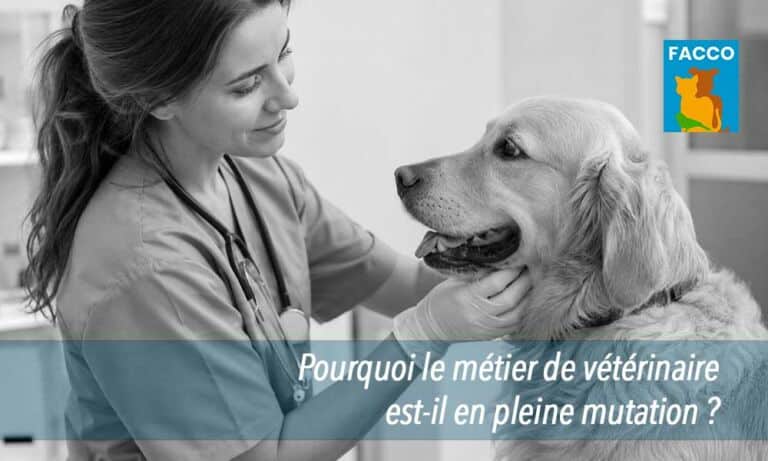 Pourquoi le métier de vétérinaire est-il en pleine mutation ?