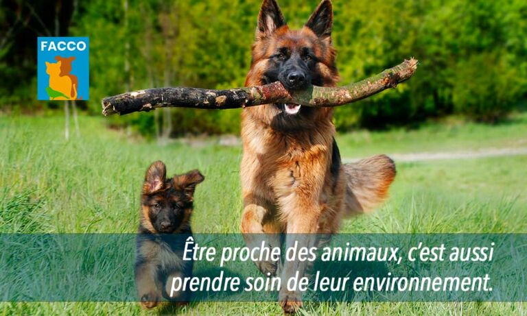 Être proche des animaux, c’est aussi prendre soin de leur environnement !