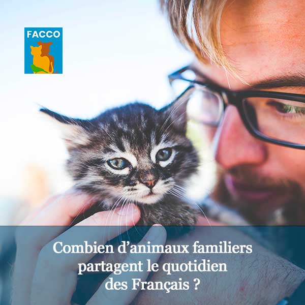 Combien d’animaux familiers partagent le quotidien des Français ?